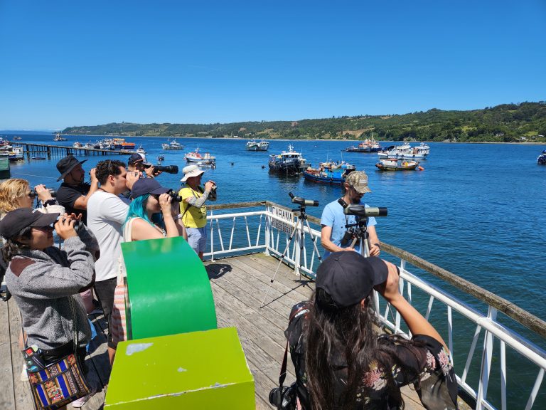 ¡Lanzamiento de la temporada de verano en Dalcahue!