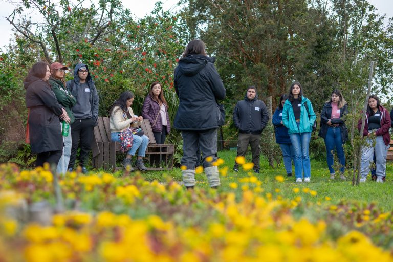 Proyecto: Recorridos para tu Salud Mental – Desconéctate, Conéctate, Reencuentra la Calma en los Entornos Naturales